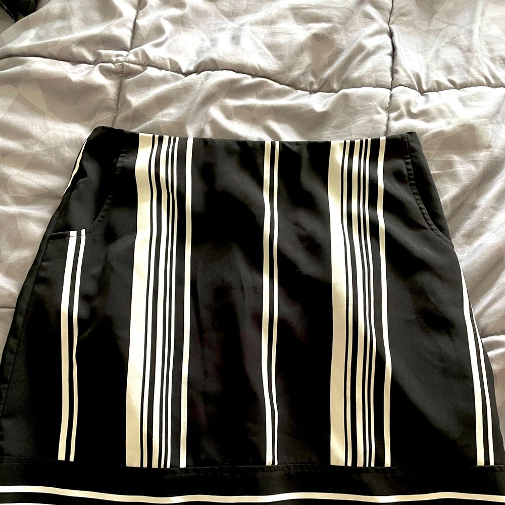 The Limited Skirt